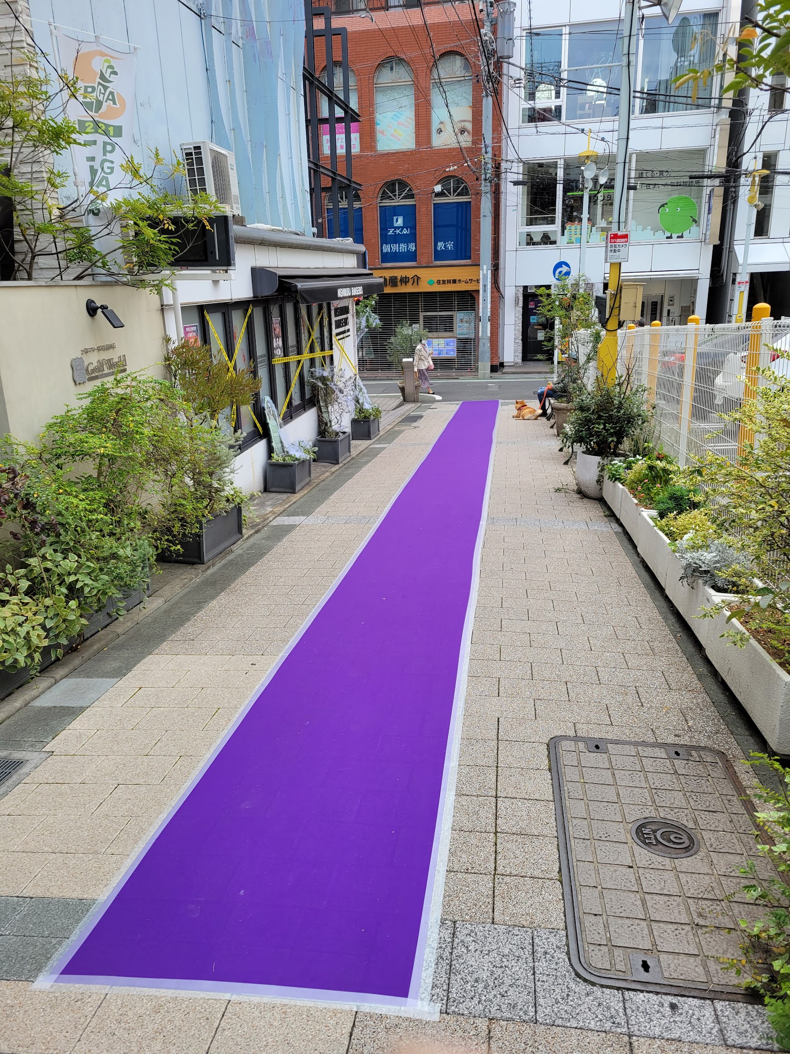 Jiyugaoka — photo 3