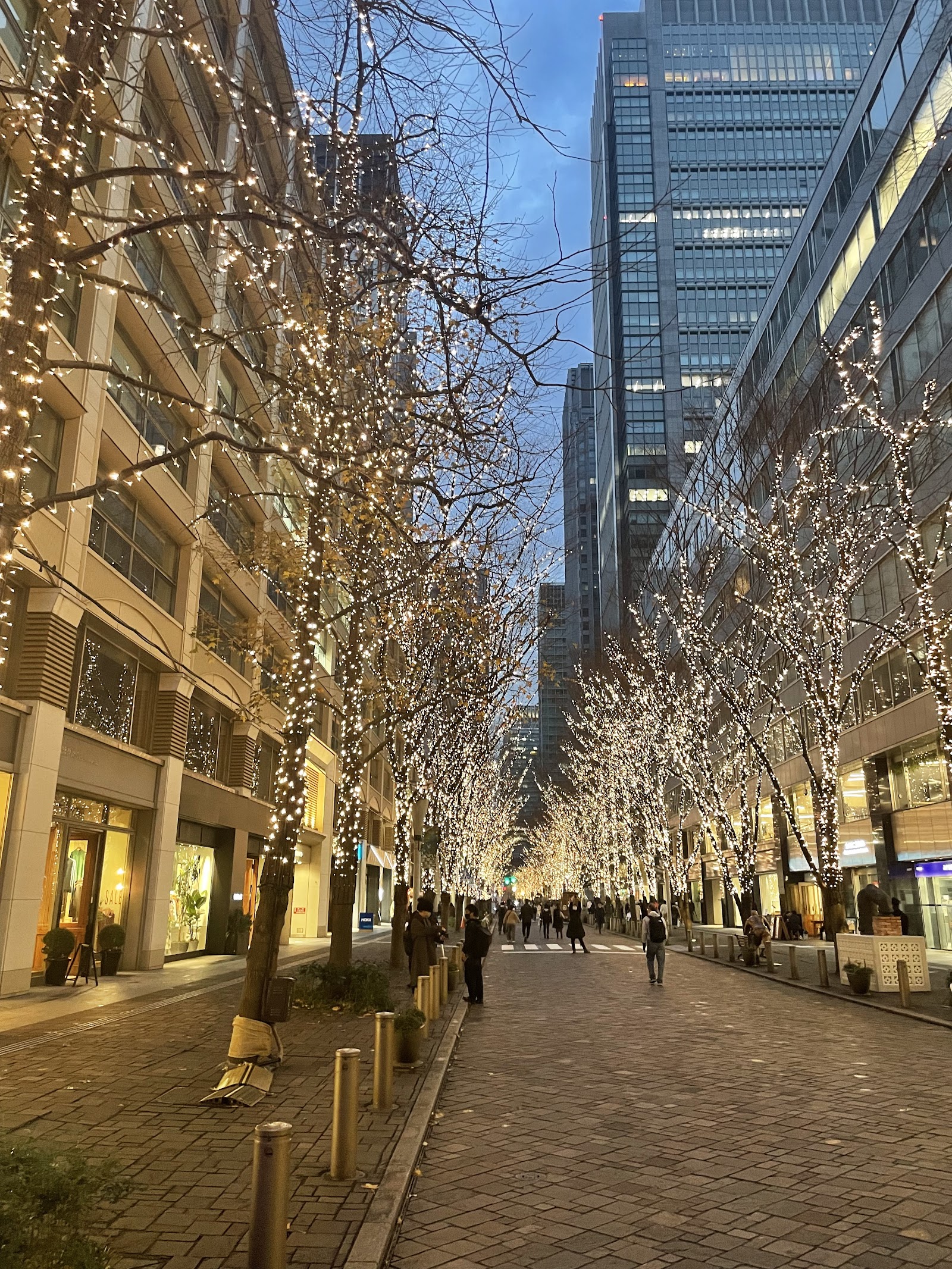 Marunouchi Naka-dori — photo 2
