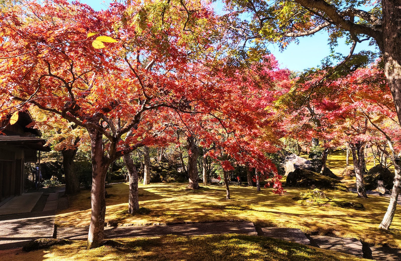 Hakone Gora Park — photo 5