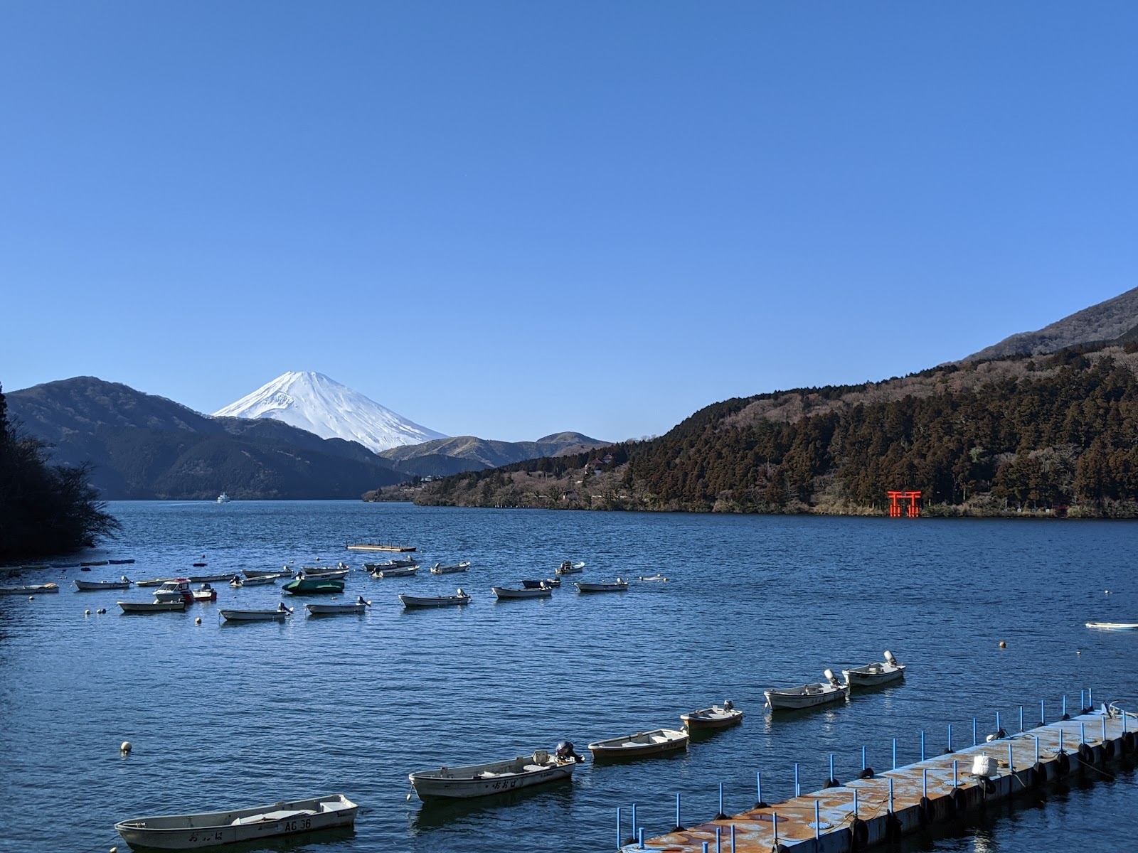 Onshi Hakone Park — photo 5