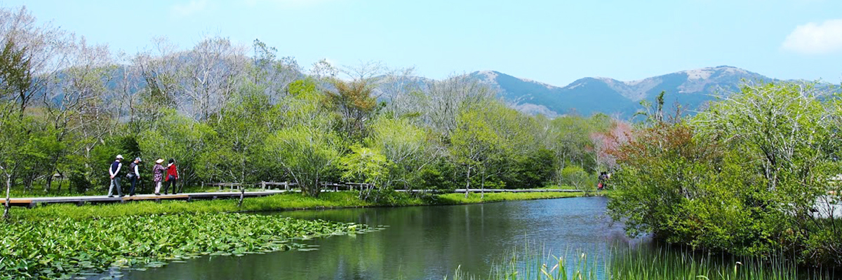 Hakone Botanical Garden of Wetlands — photo 1