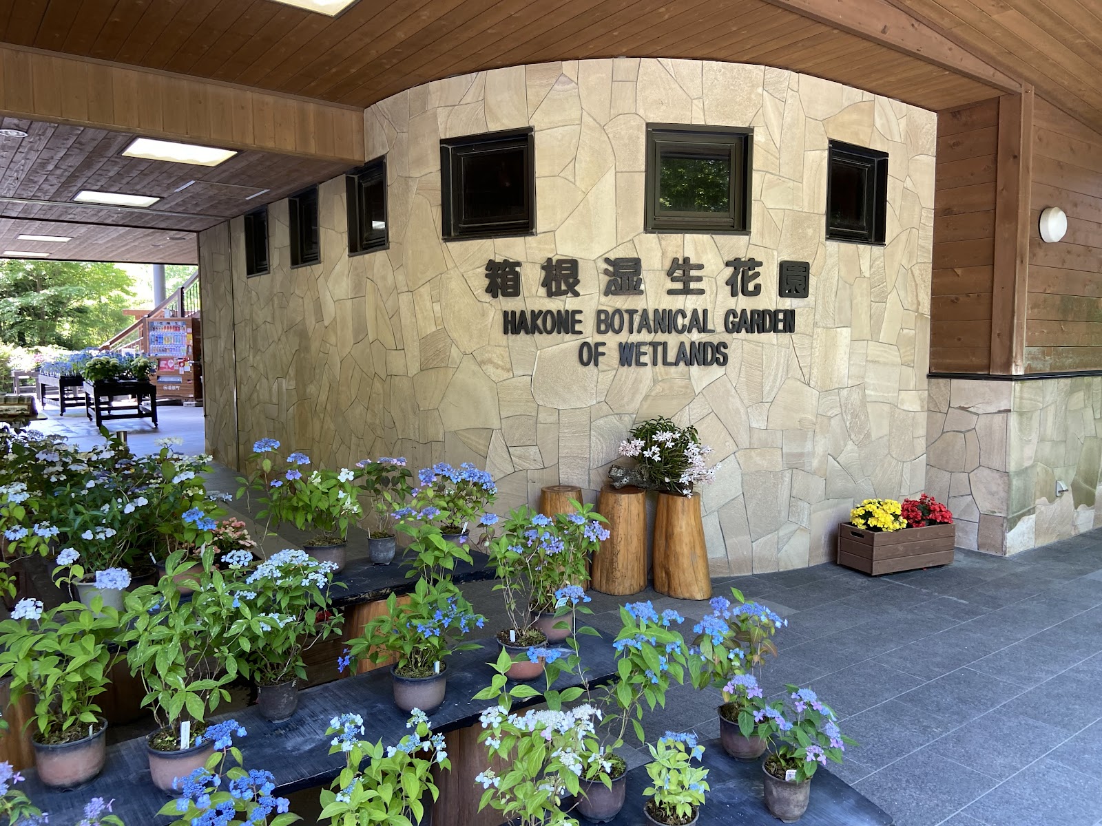 Hakone Botanical Garden of Wetlands — photo 5