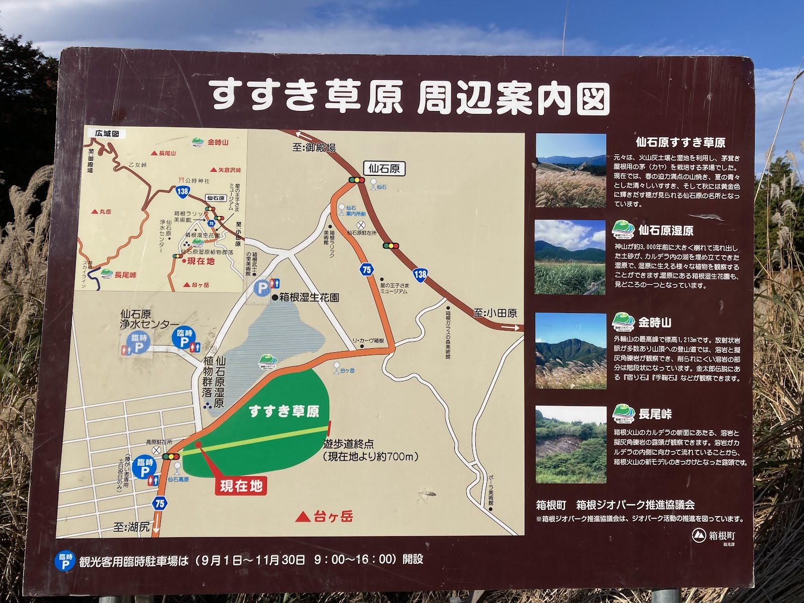 Sengokuhara Pampas Grass Field — photo 3