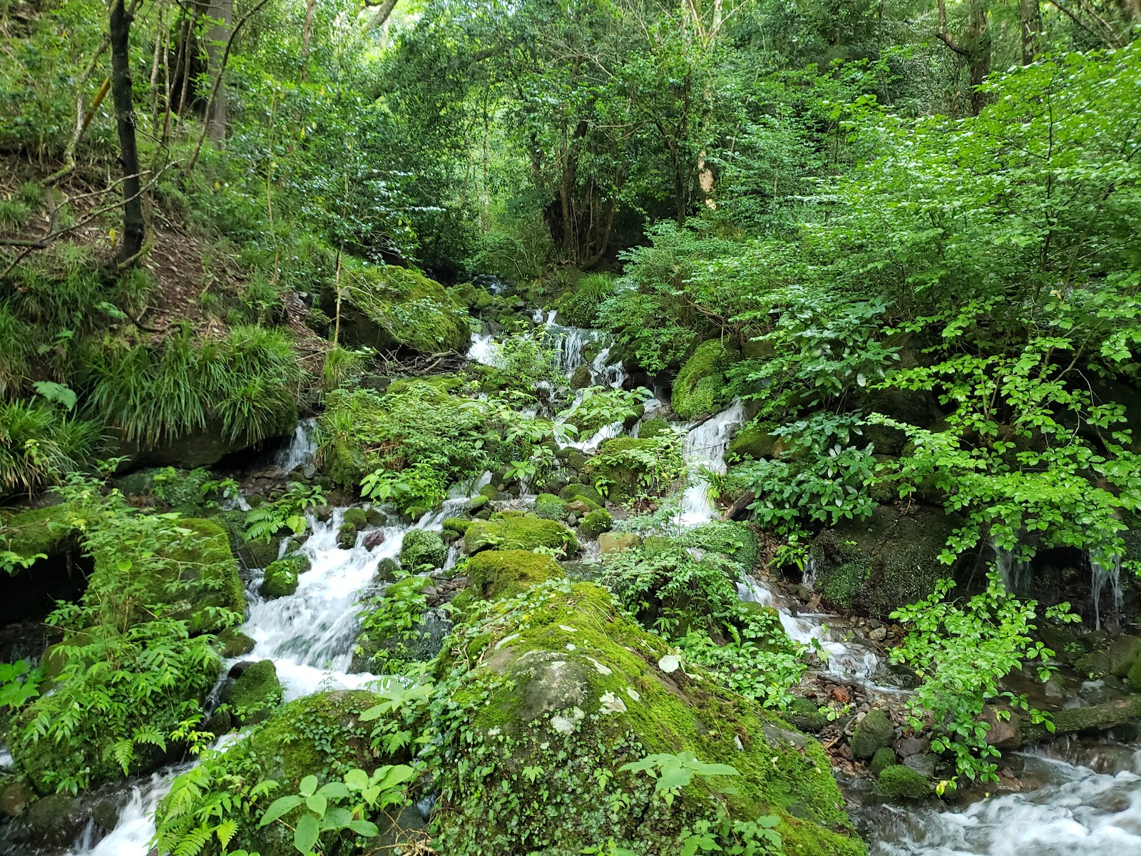 Chisuji Falls — photo 2