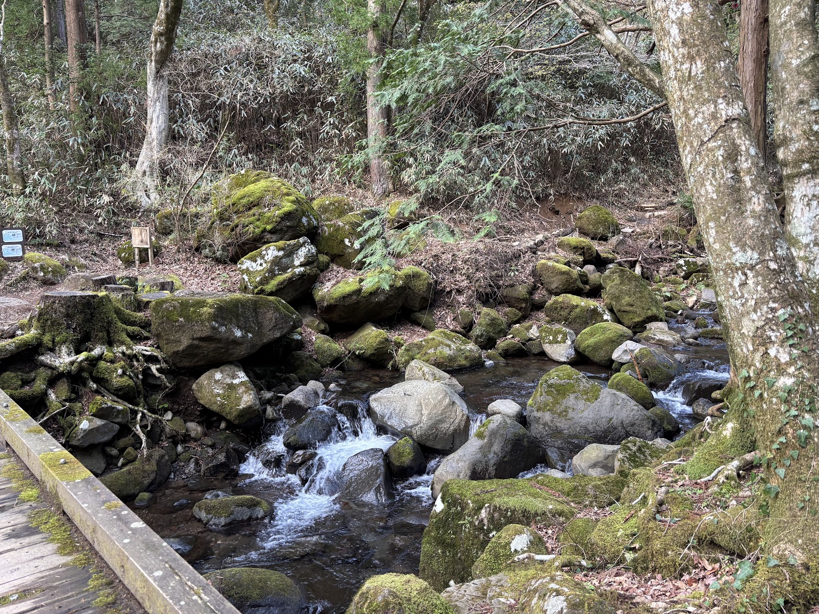 Chisuji Falls — photo 4