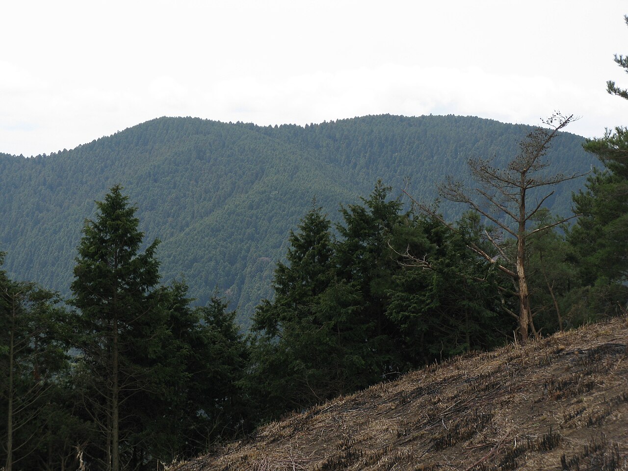 Mount Iwawaki