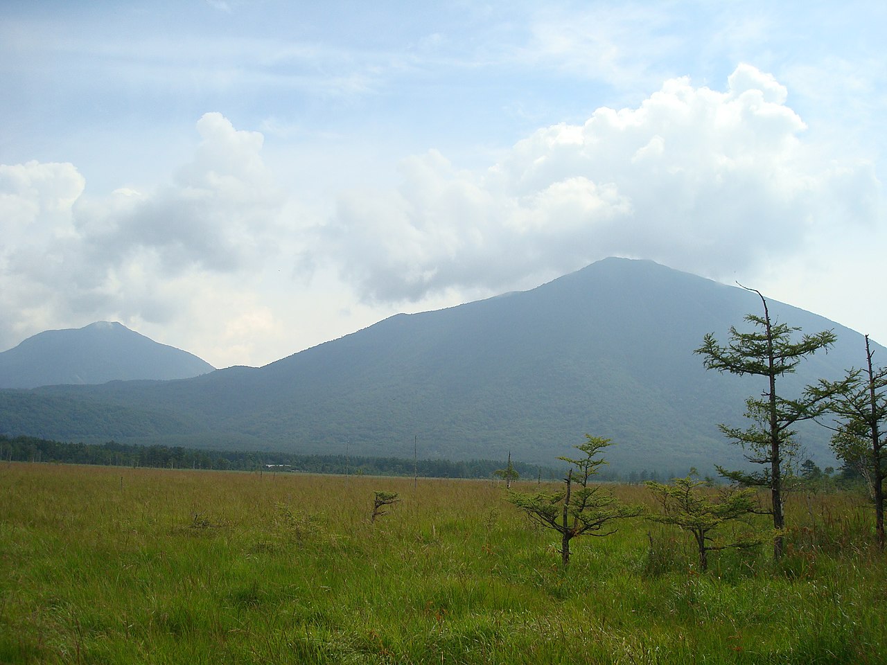 Senjogahara Marshland