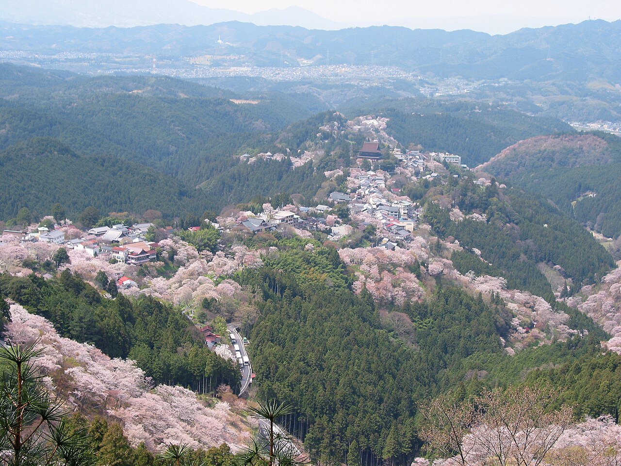 Mount Yoshino (Yoshinoyama)