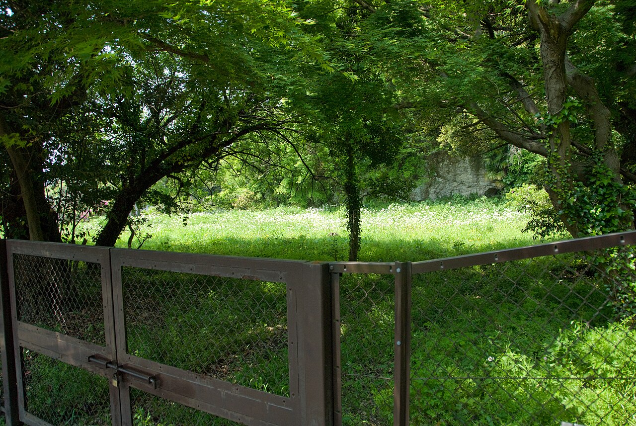 Tosho-ji Temple Ruins
