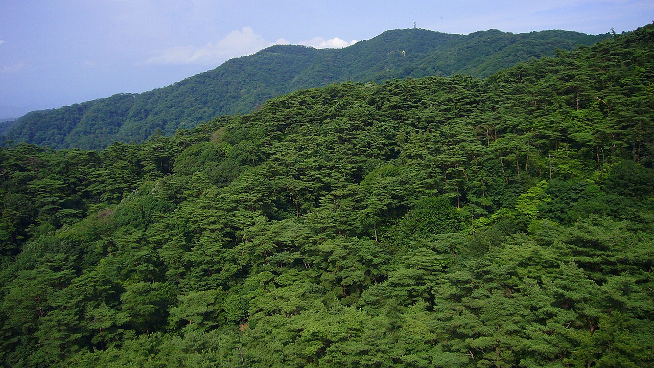 Rokko Garden Terrace