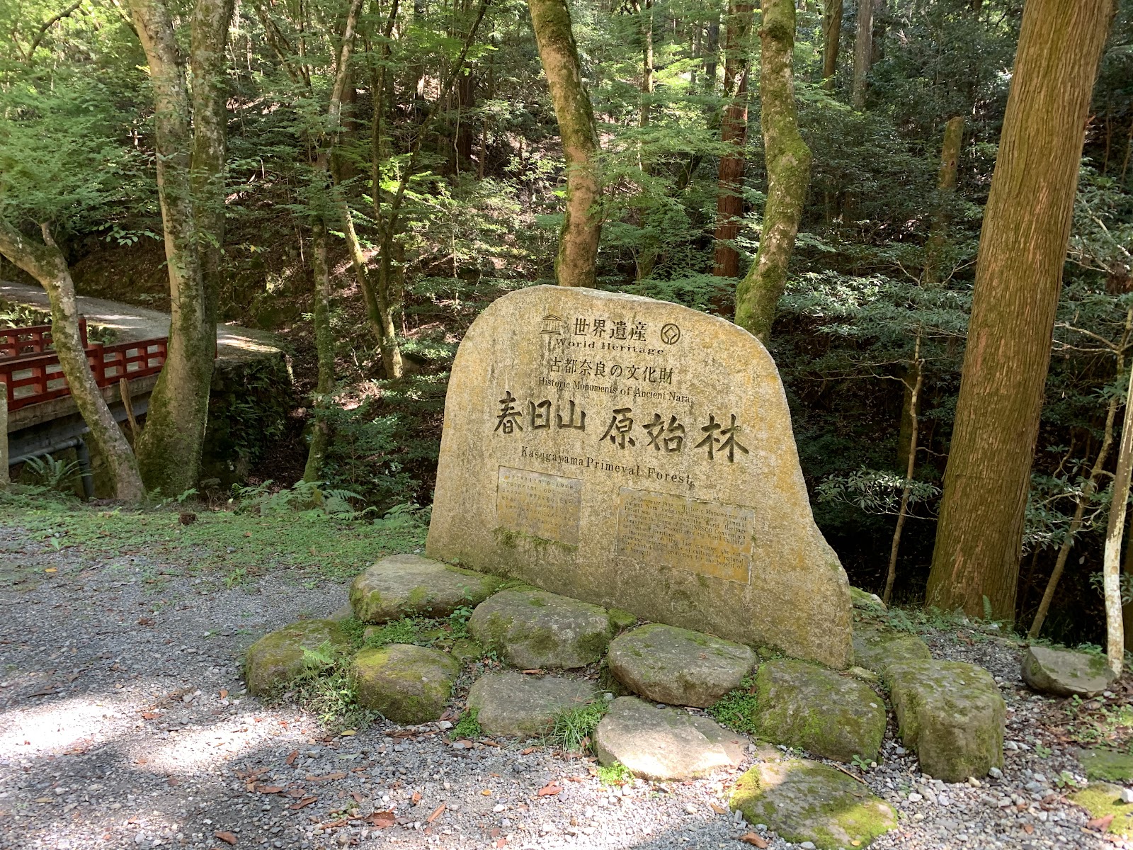 Kasugayama Primeval Forest — photo 3