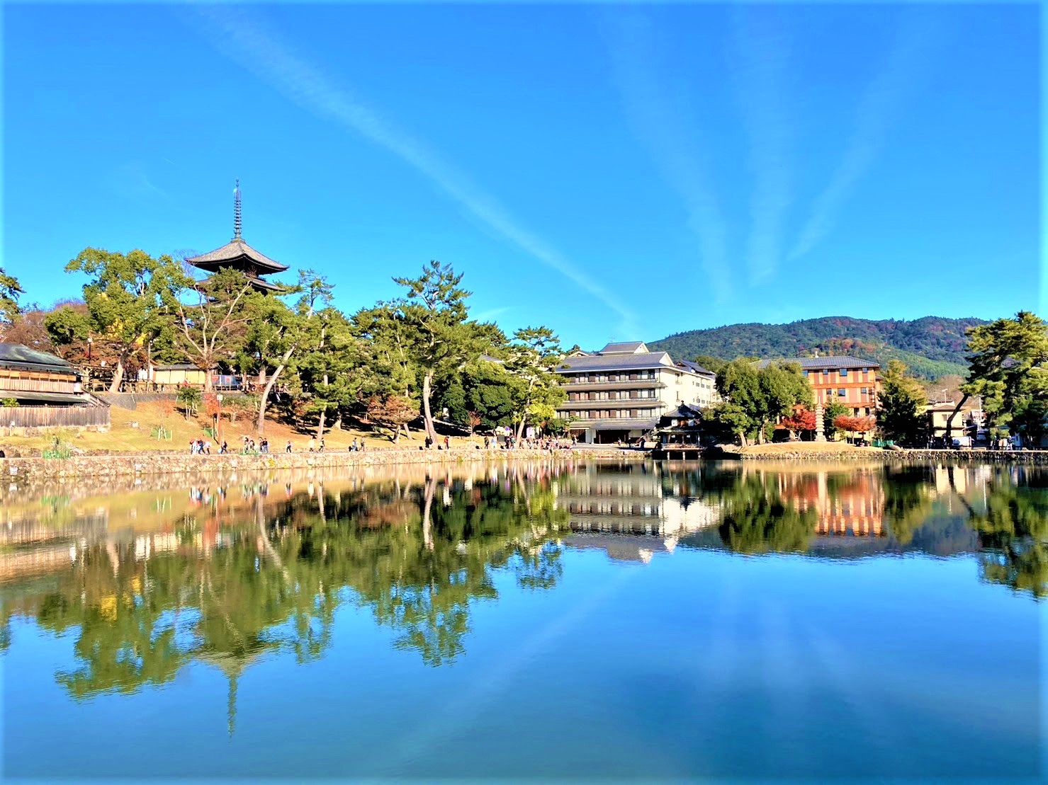 Sarusawa Pond — photo 1