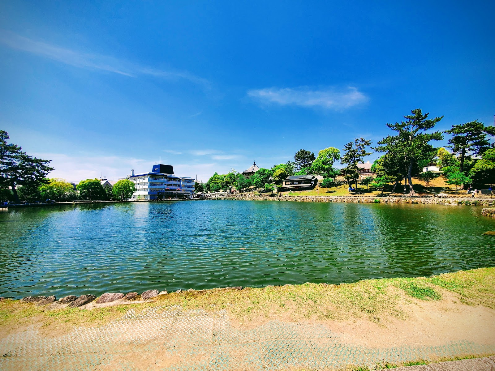 Sarusawa Pond — photo 3