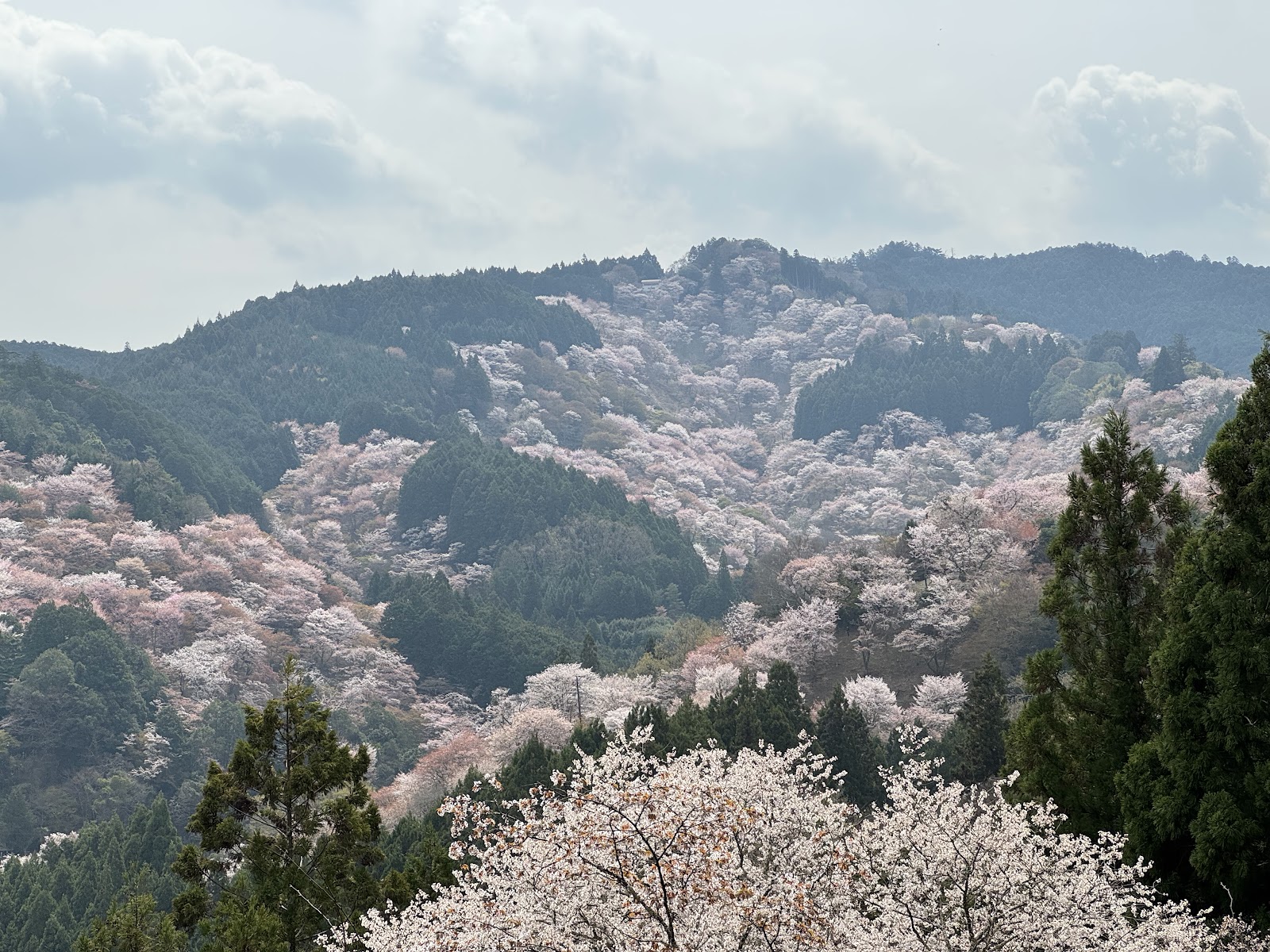 Mount Yoshino — photo 1