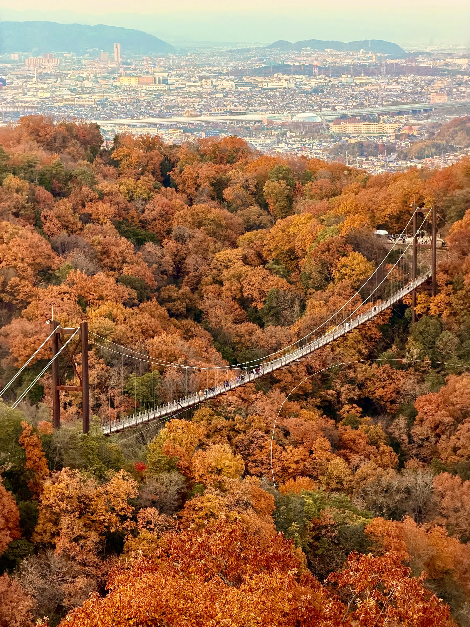 Hoshi no Buranko Suspension Bridge