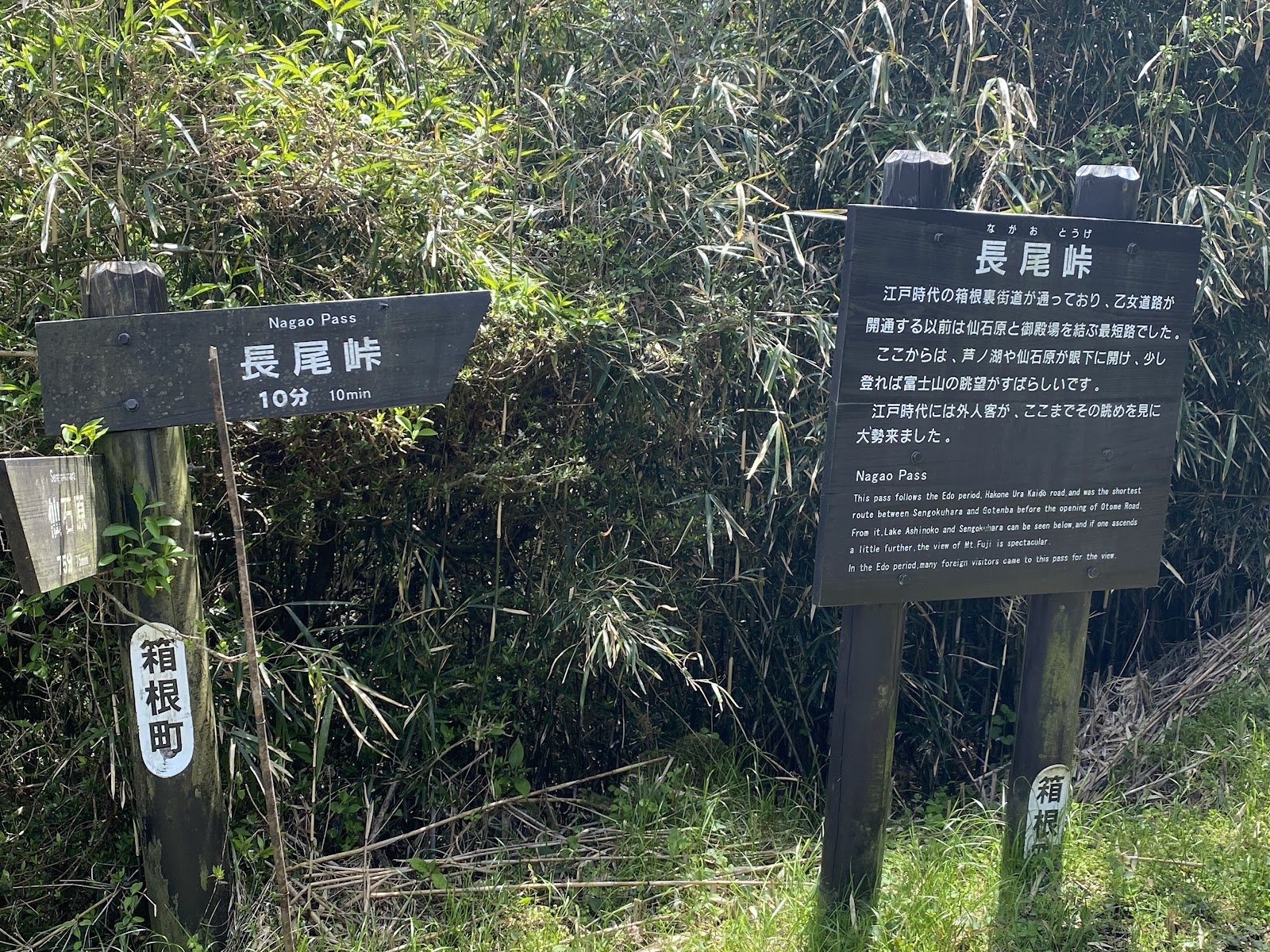 Nagao Pass