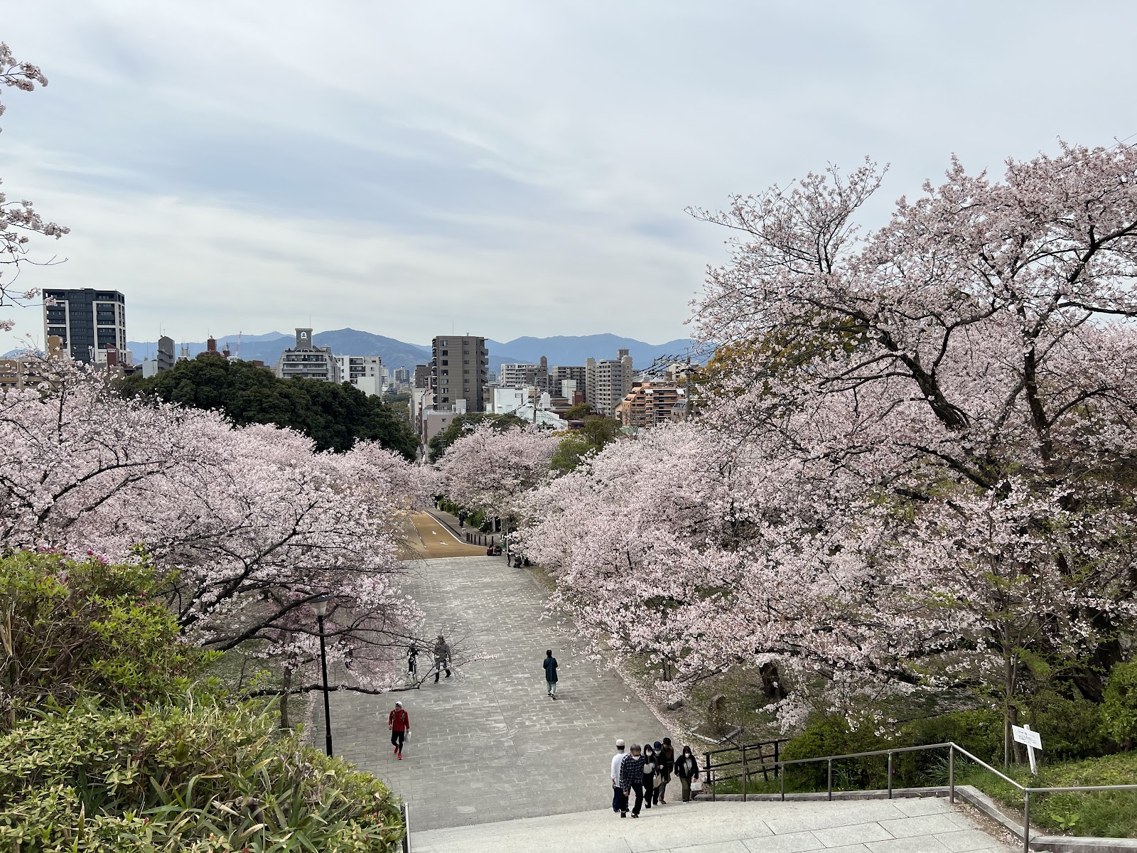 Nishi Park
