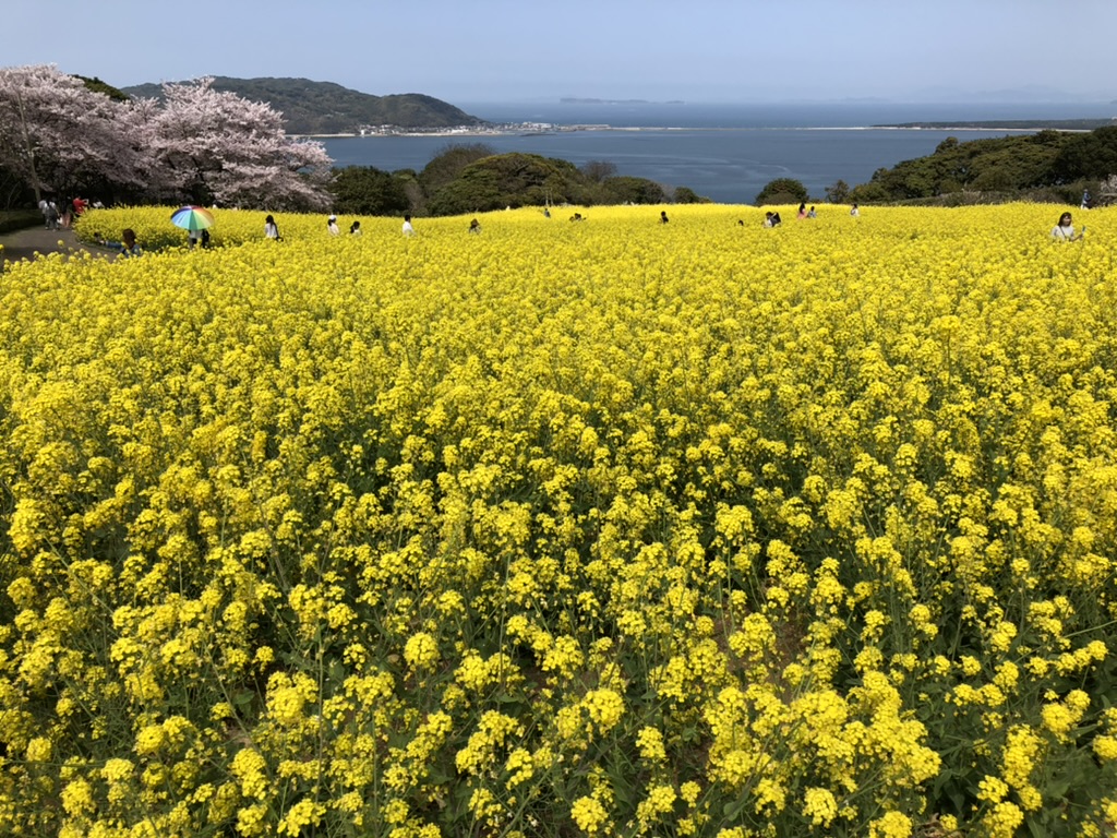 Nokonoshima Island Park