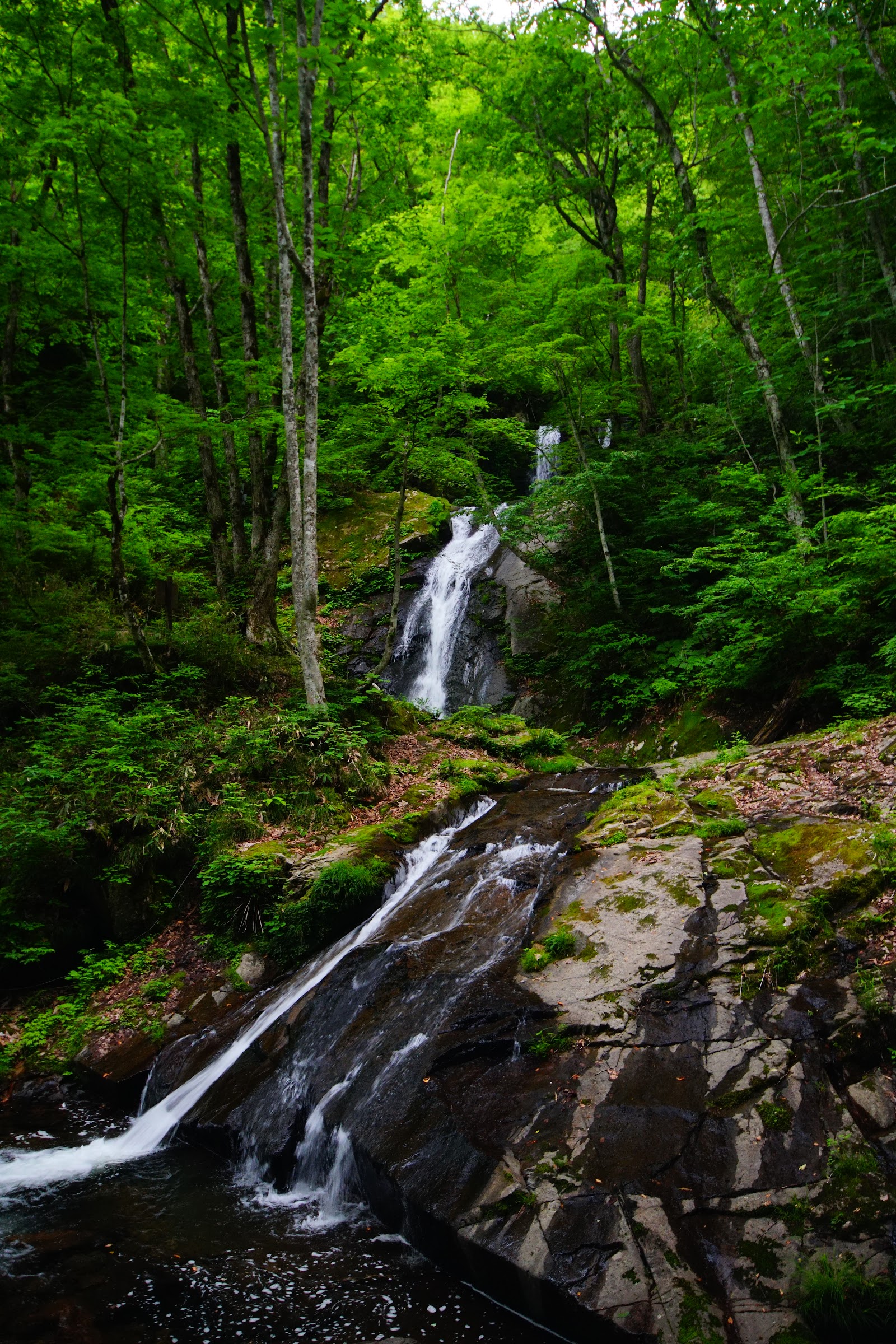 Utsue 48 Waterfalls