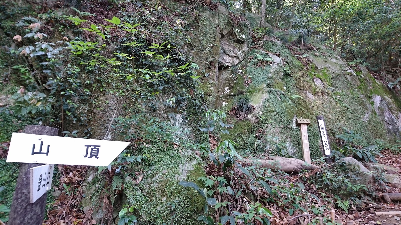 Mount Tachibana