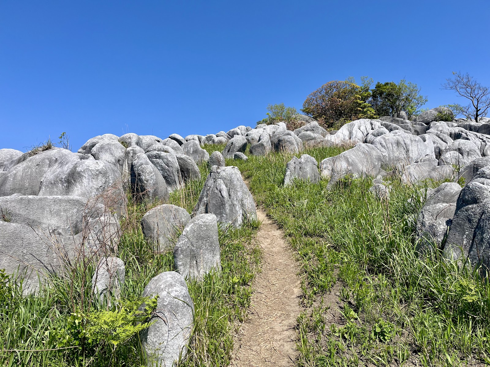 Hiraodai Karst Plateau