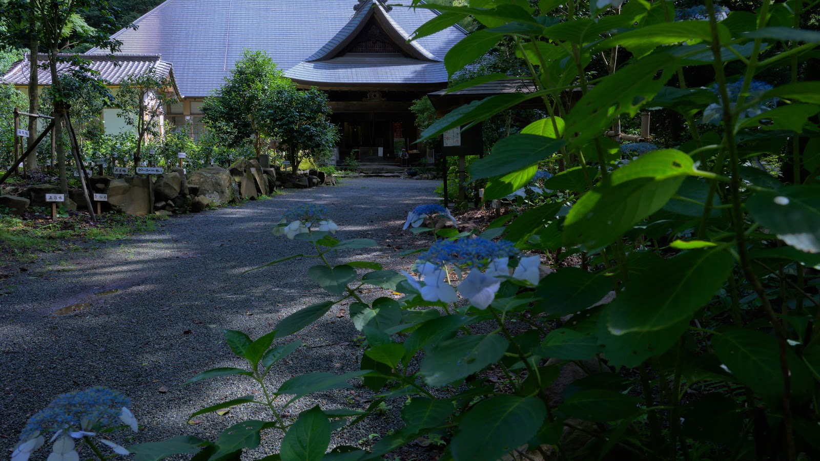 Amida-ji Temple