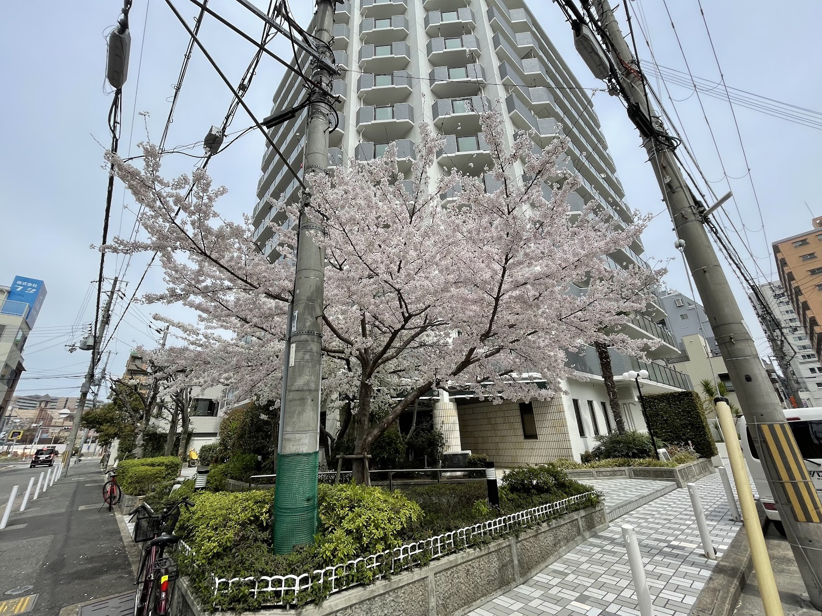 Shinkaichi District