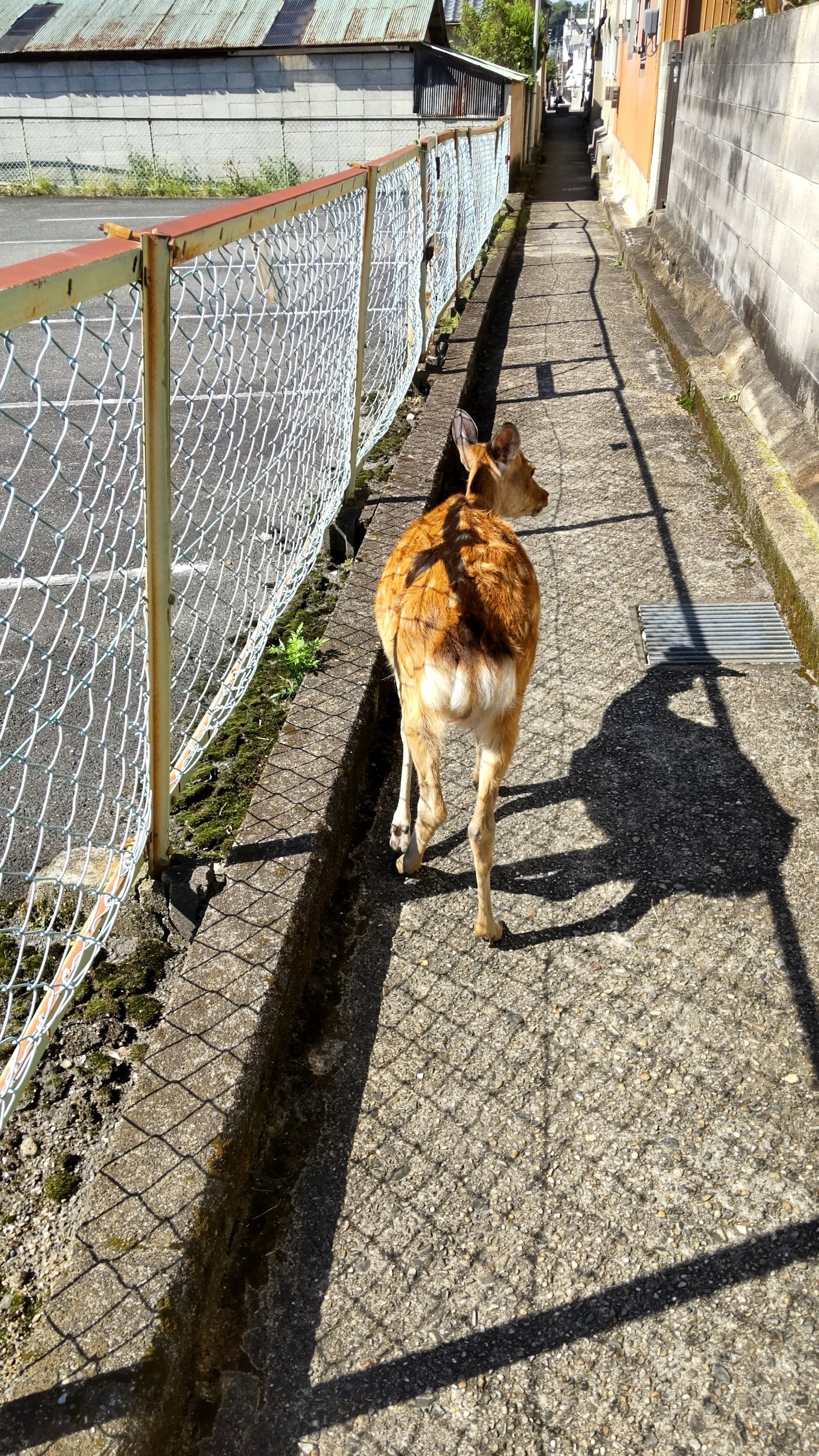 Nara Kitamachi
