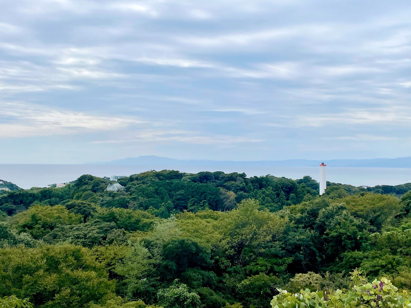 Mount Kinubari (Kinubariyama) Summit Viewpoint