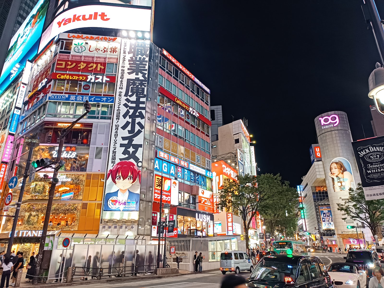 Shibuya Crossing — photo 1