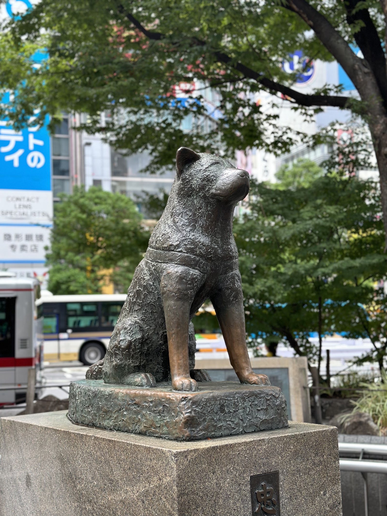 Shibuya Crossing — photo 2