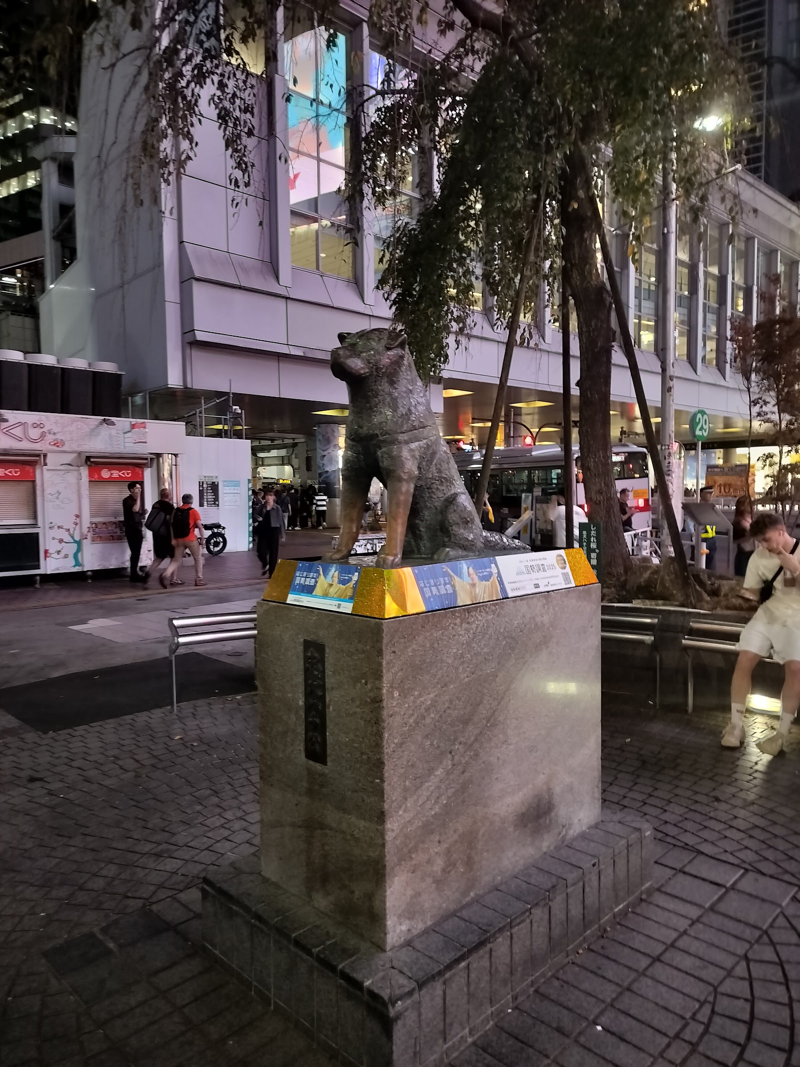 Shibuya Crossing — photo 4