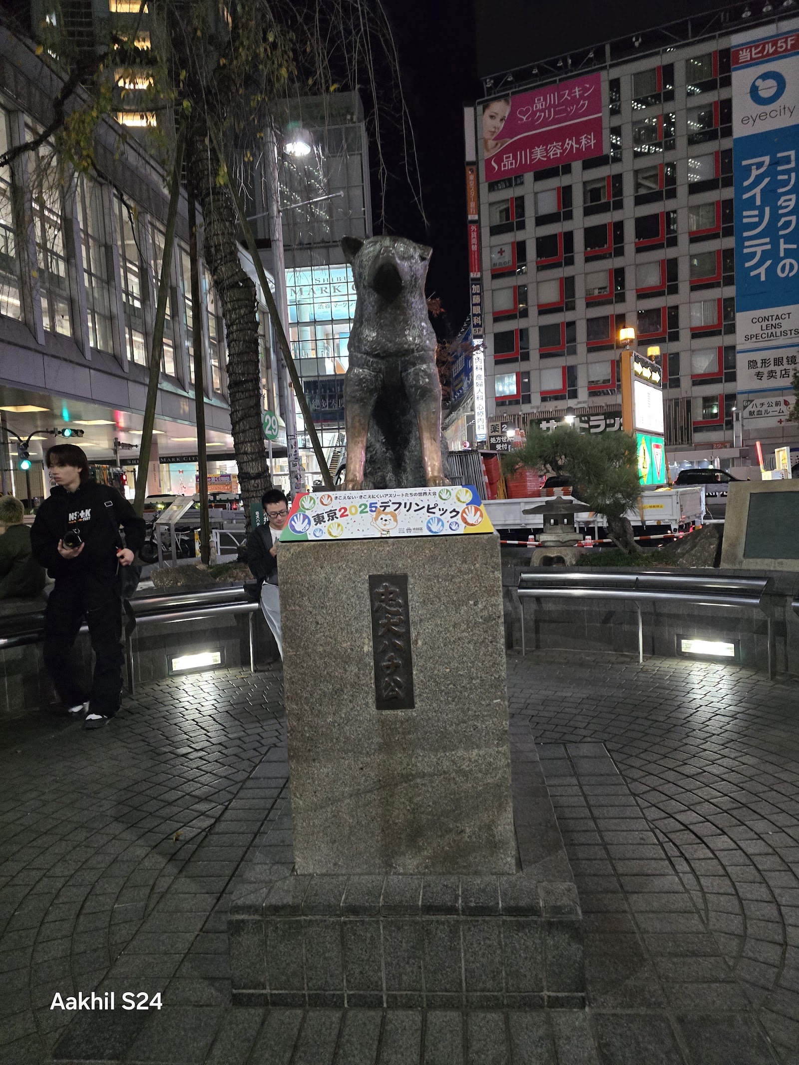 Shibuya Crossing — photo 5