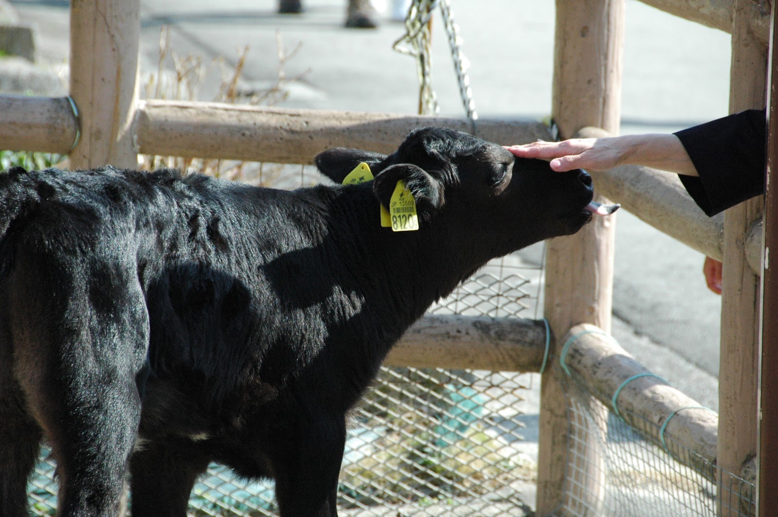 Nagoya City Agricultural Center Delfino