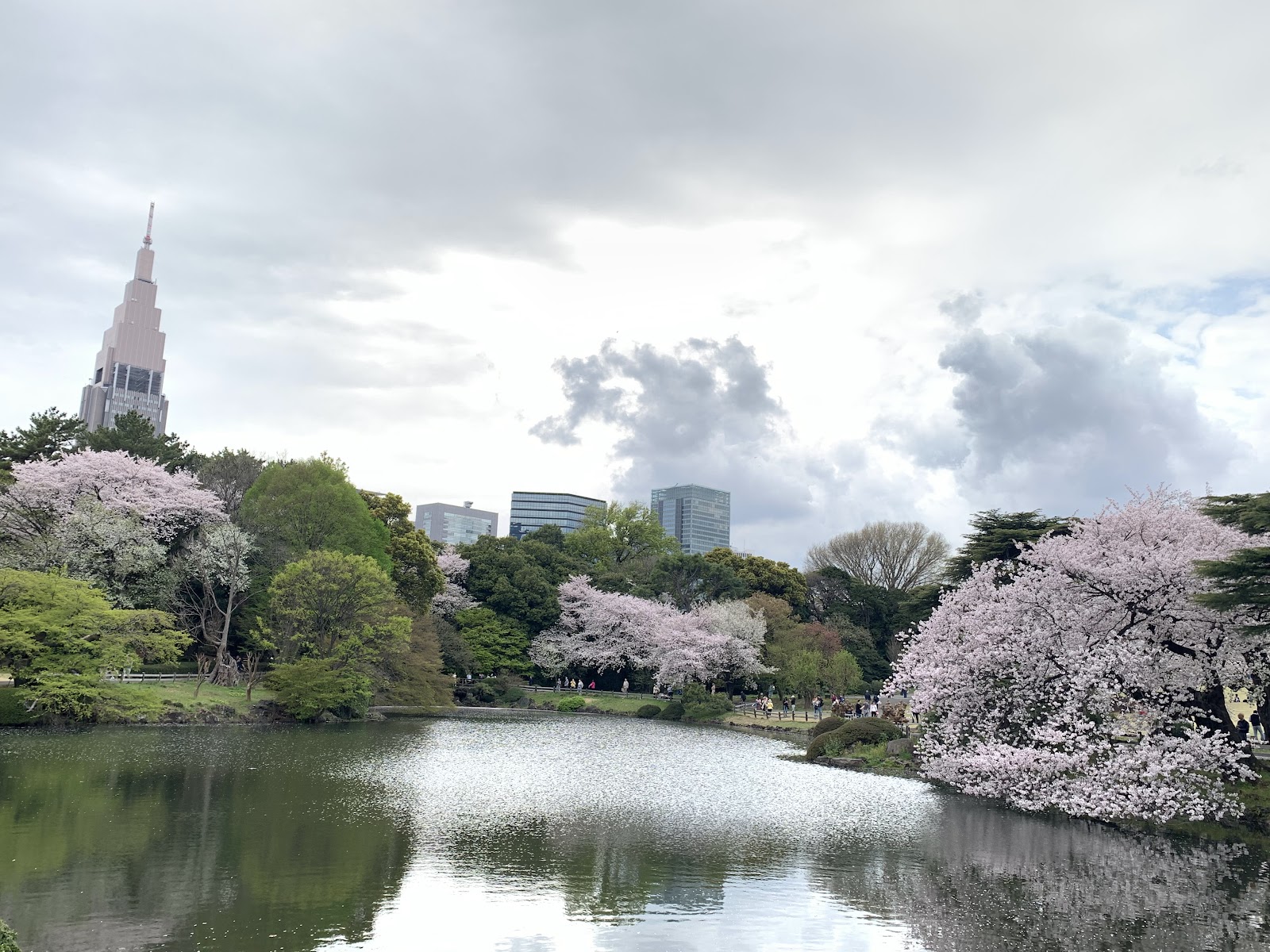 Shinjuku Gyoen — photo 1