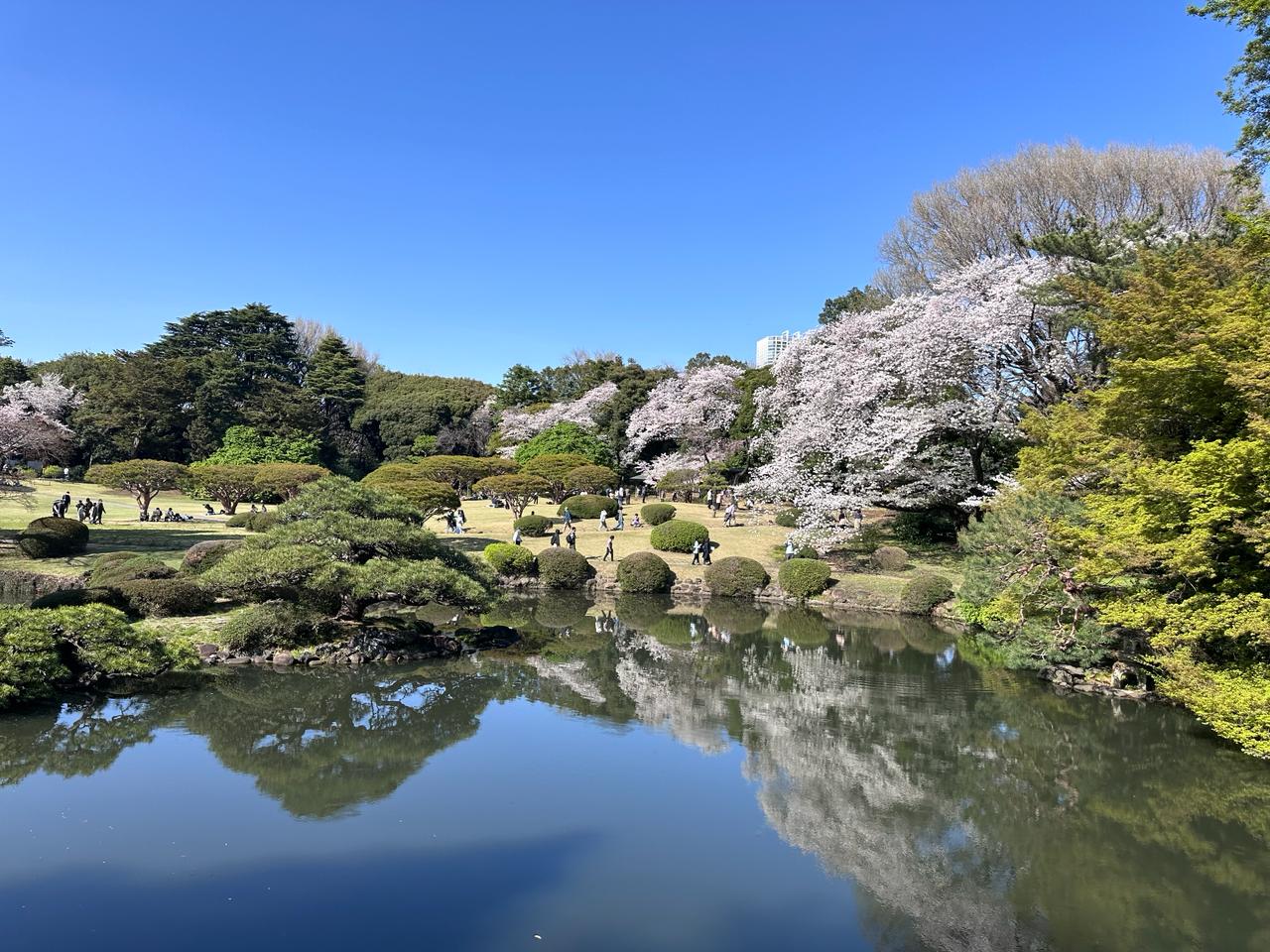 Shinjuku Gyoen — photo 2