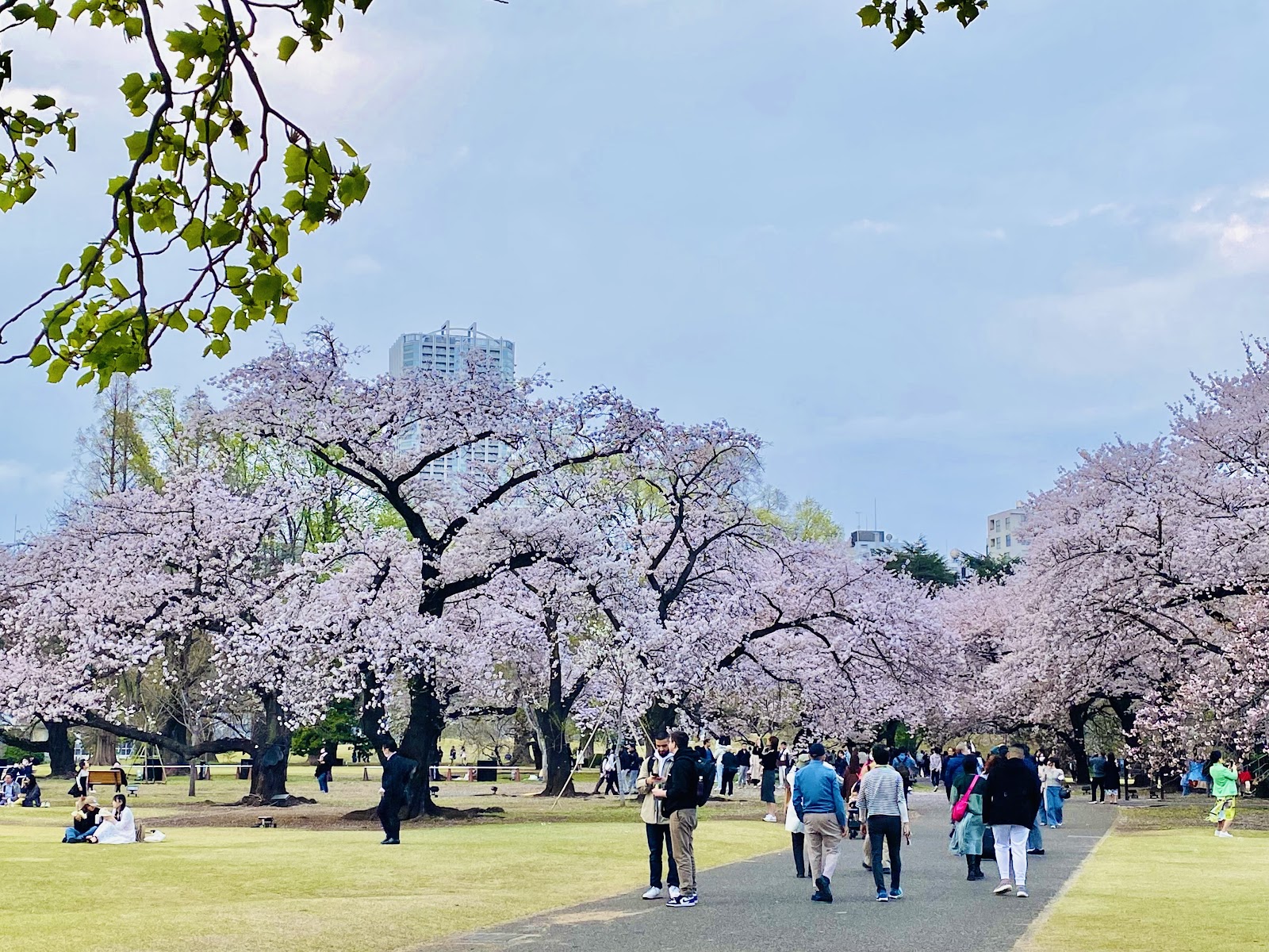 Shinjuku Gyoen — photo 3