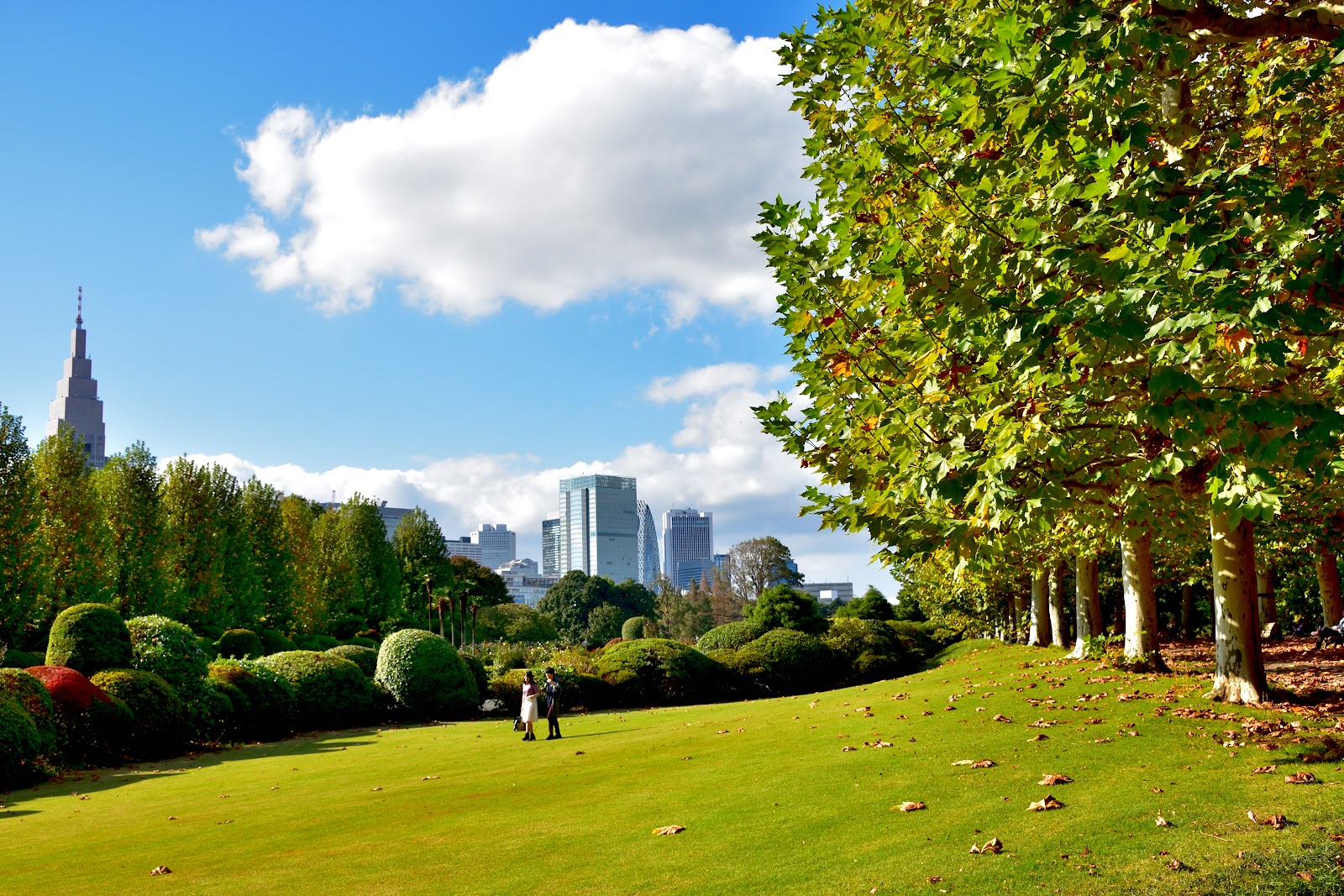 Shinjuku Gyoen — photo 5