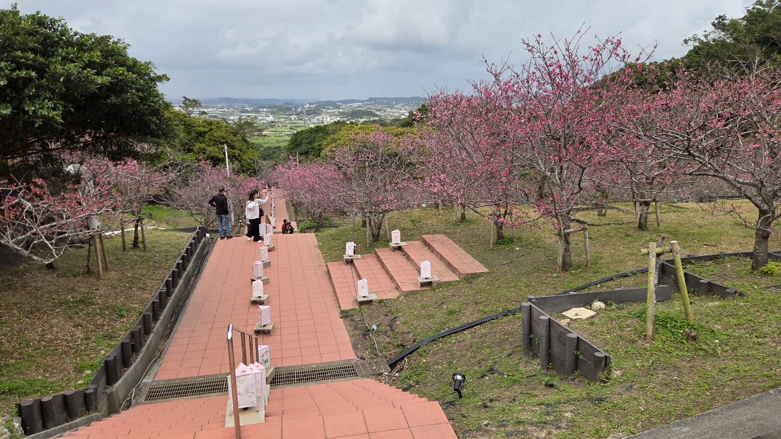 Yaese Park