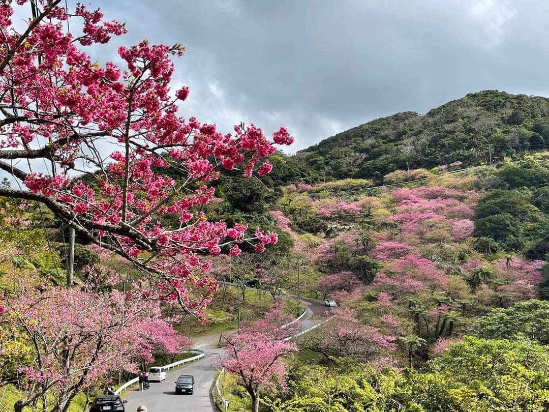Yaedake Sakura no Mori Park