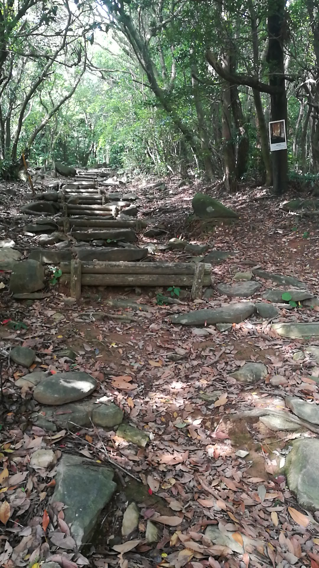 Mt. Eboshidake