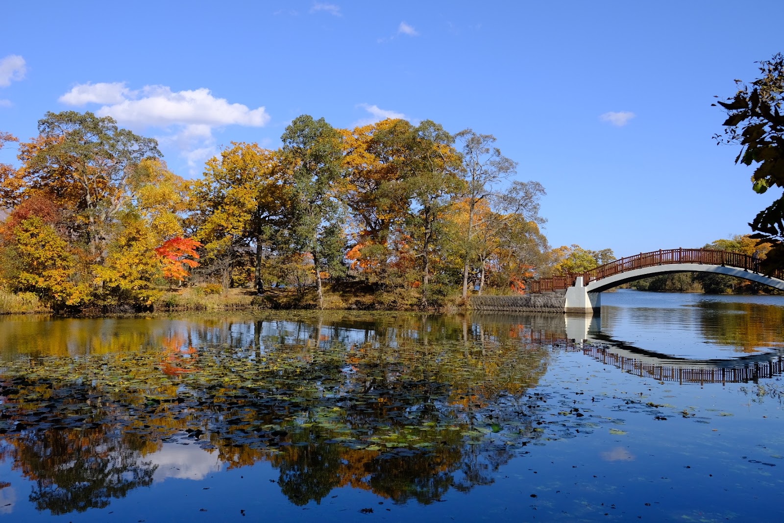 Onuma Quasi-National Park