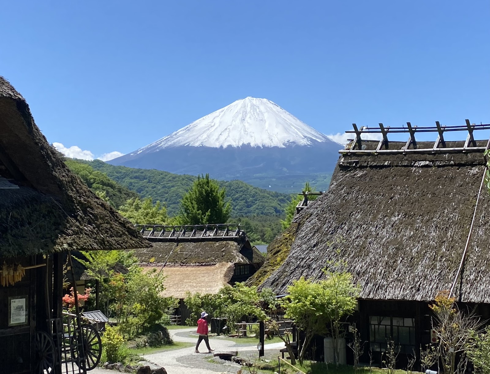 Saiko Iyashi-no-Sato Nenba