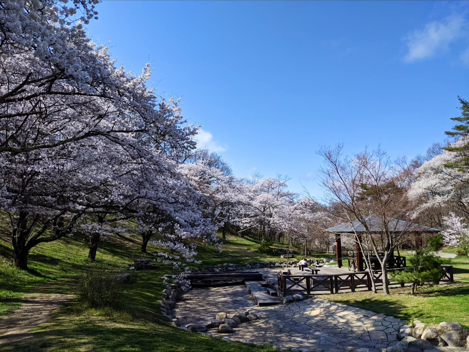 Matsumoto City Alps Park