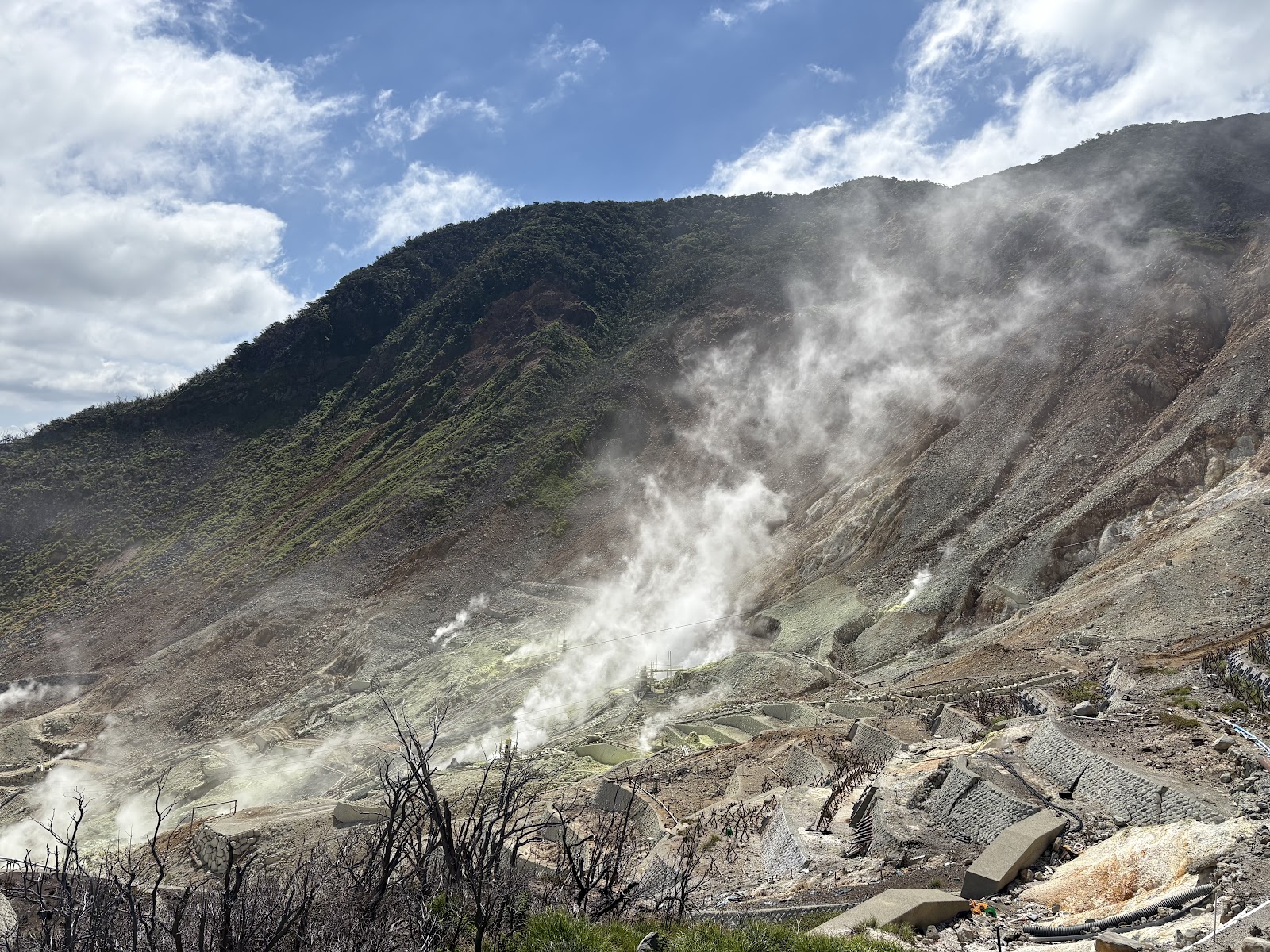 Lake Ashi & Owakudani — photo 1