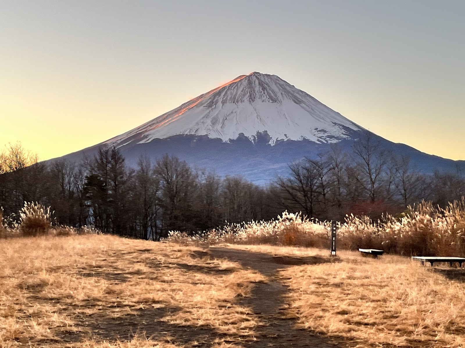 Sankodai Observatory