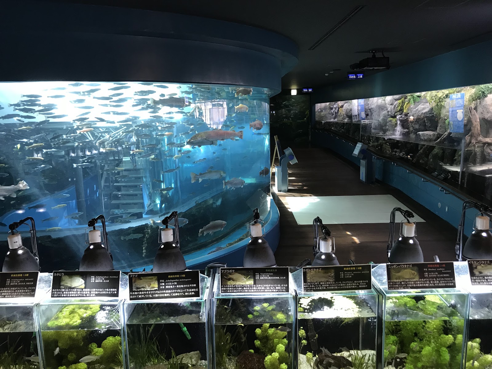 Forest in the Water Aquarium (Fuji Yusui-no-Sato)