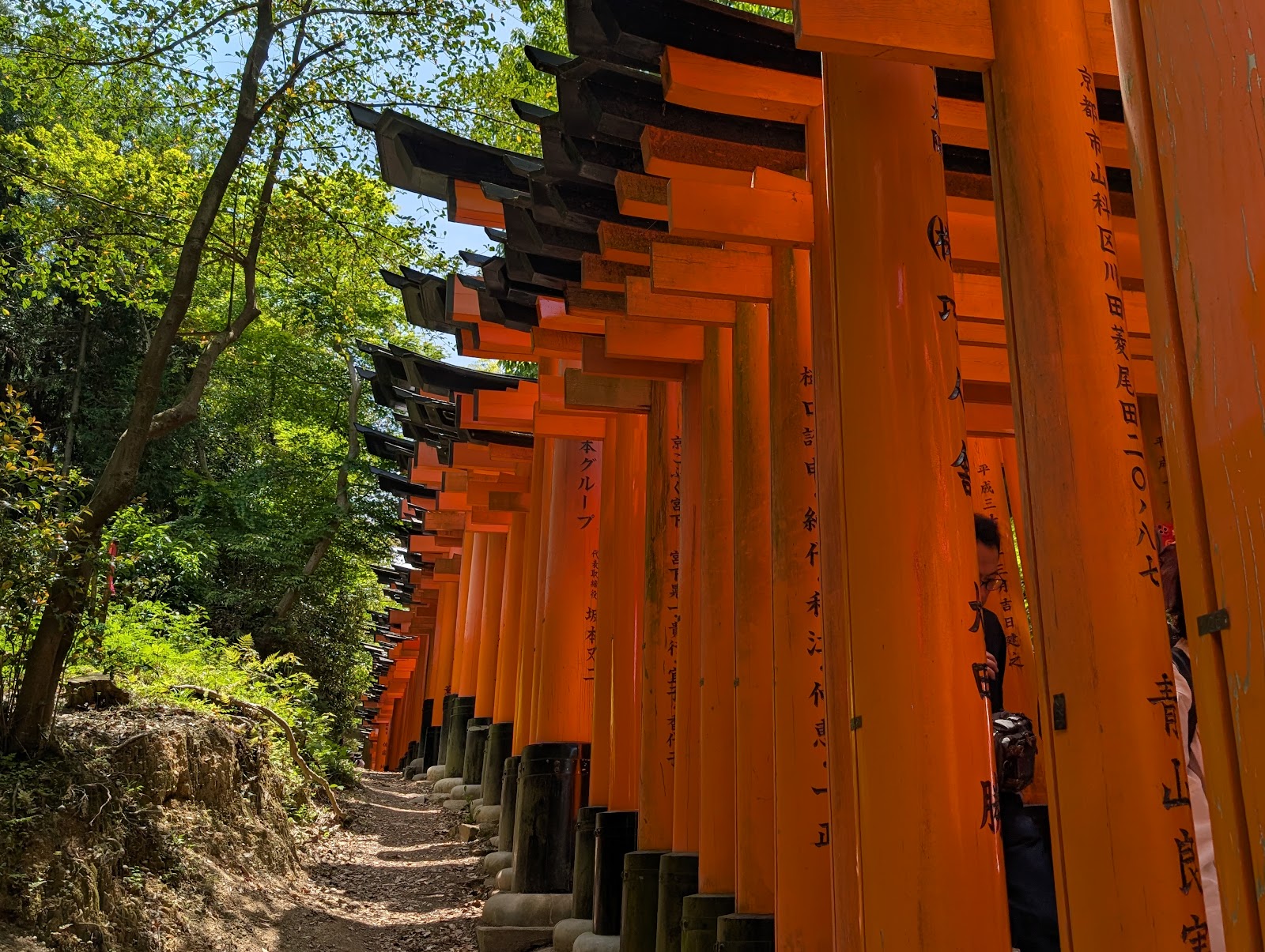 Fushimi Inari Taisha — photo 3