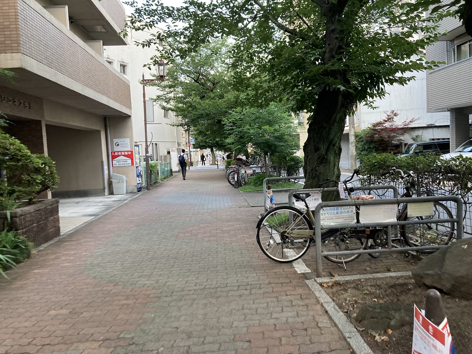 Imaike