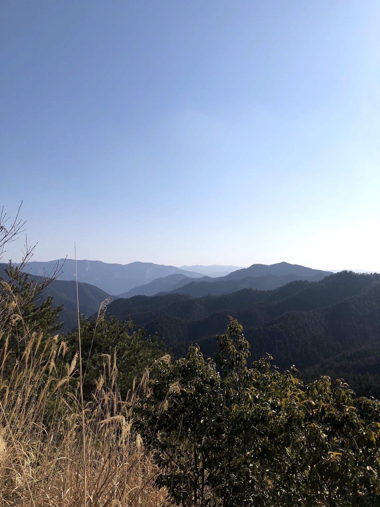 Nyonin-michi Trail